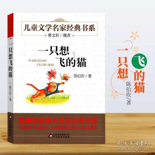 打呼噜之困咋破解